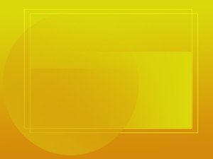 工具全面对比分析